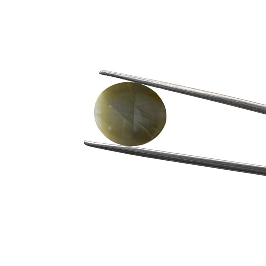 Natural Cat's Eye - 9.8 Carat